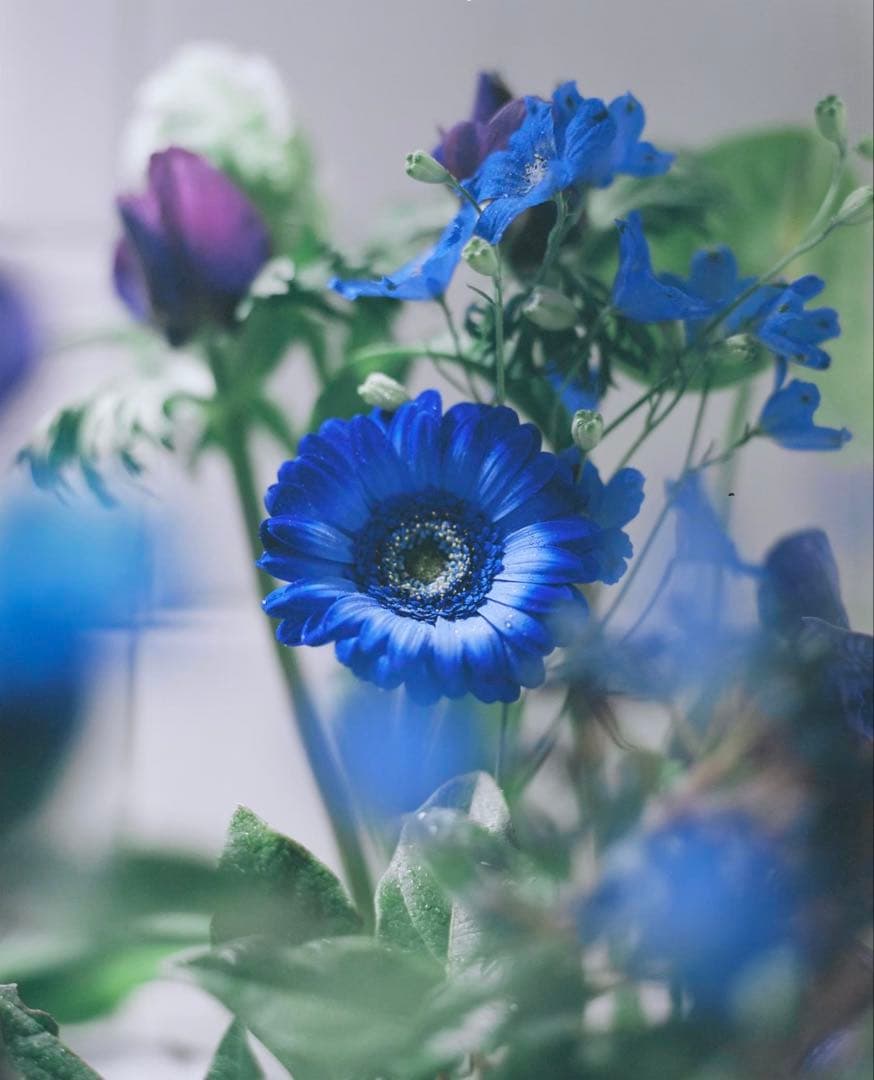 Mamiya RZ67セット + sekor Z 110mm f2.8