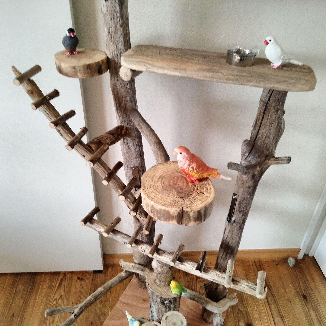 ことり バードアスレチックジム大型 天然木 自然木 流木 止まり木 インコ