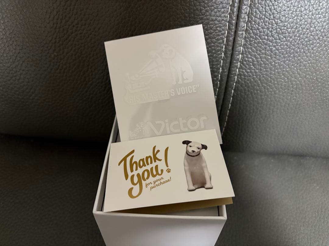 Victor HA-NP1T-H ワイヤレスイヤホン