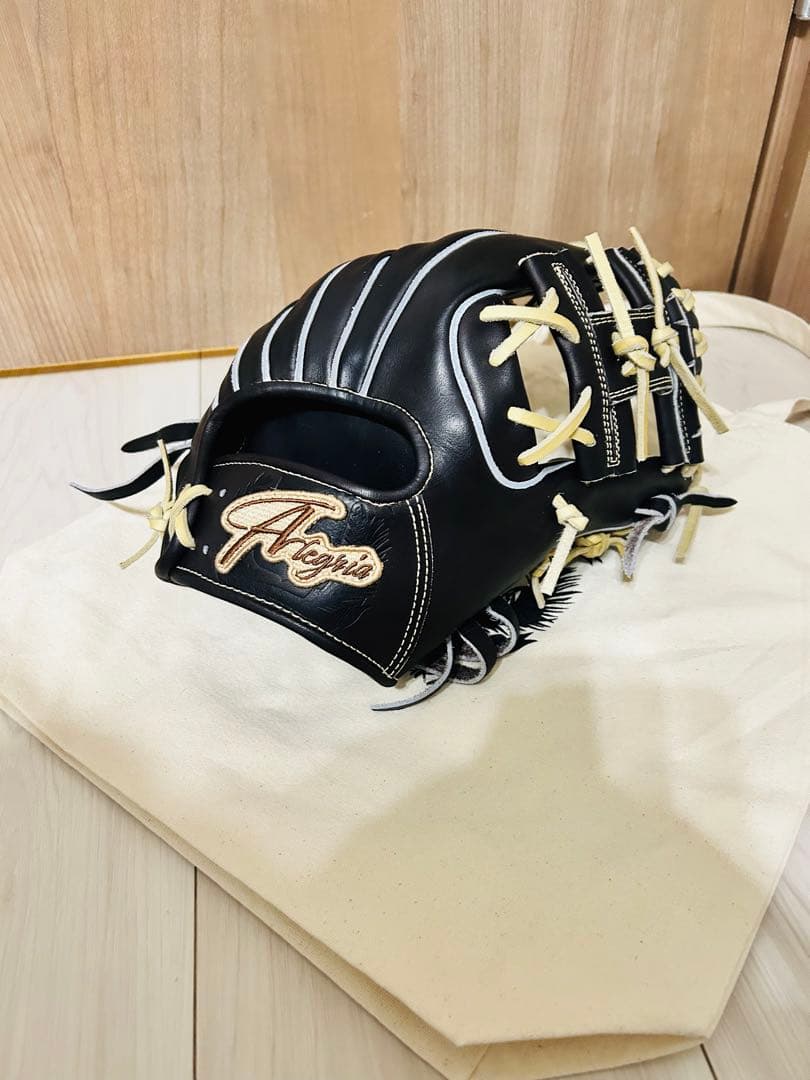 アレグリア　硬式内野　IMF25 屋外未使用　型付済　glove box 大阪