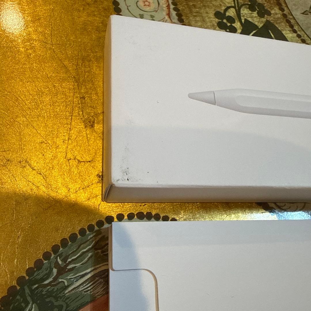 Apple Pencil Pro 未使用