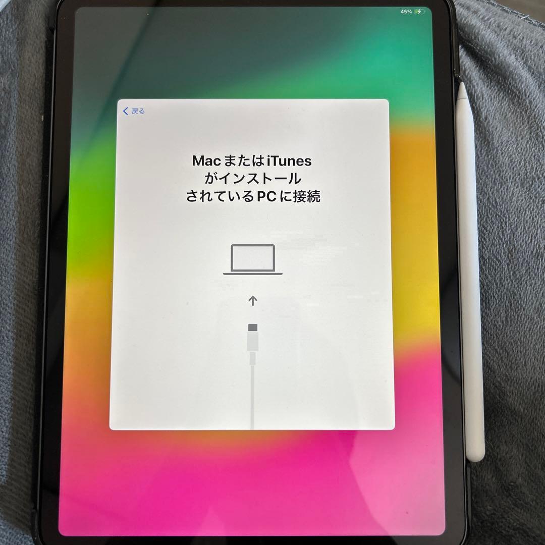 iPad pro 11 wifi 64GB Apple pencil、ケース付
