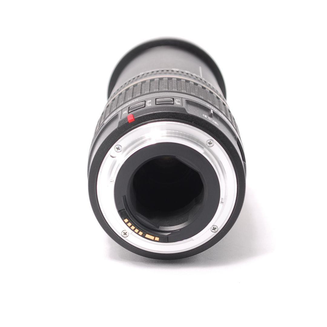 ❤即購入1000円OFF❤ タムロン 28-300mm 手振れ補正 Canon