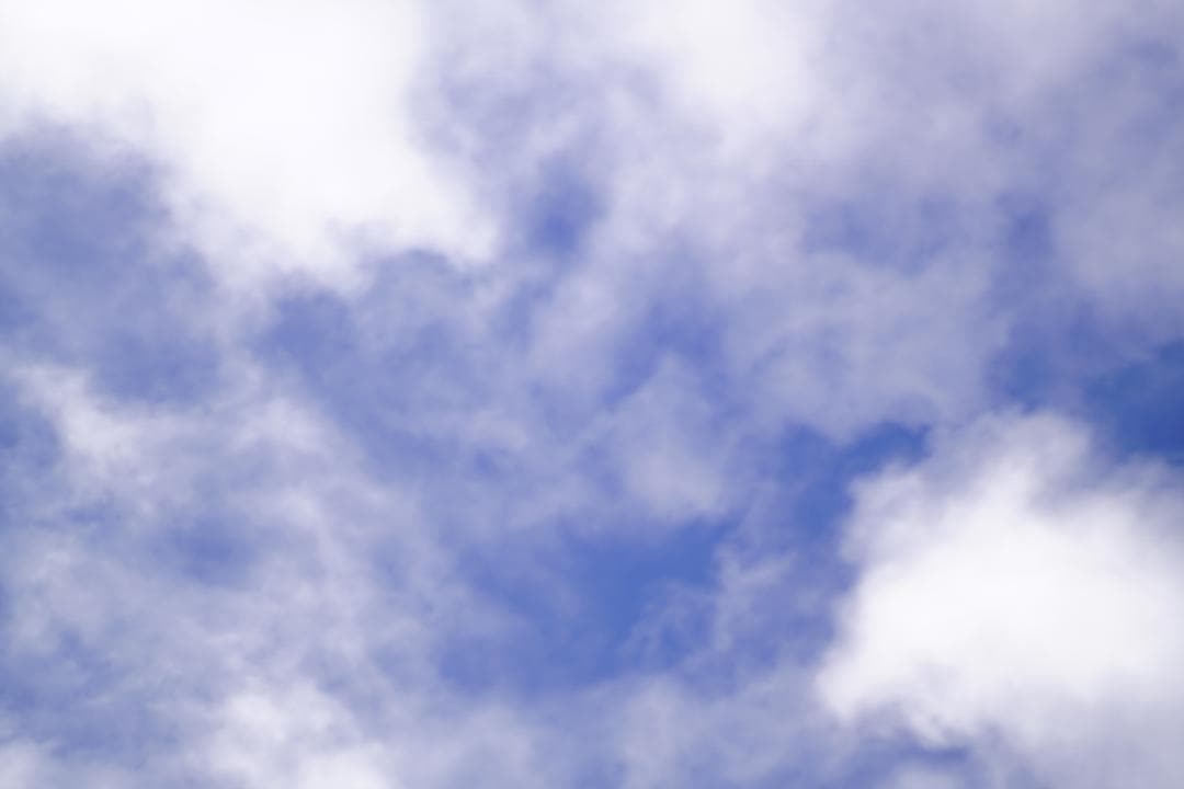 Carl Zeiss Planar 85mm F1.4 単焦点　Y/Cマウント