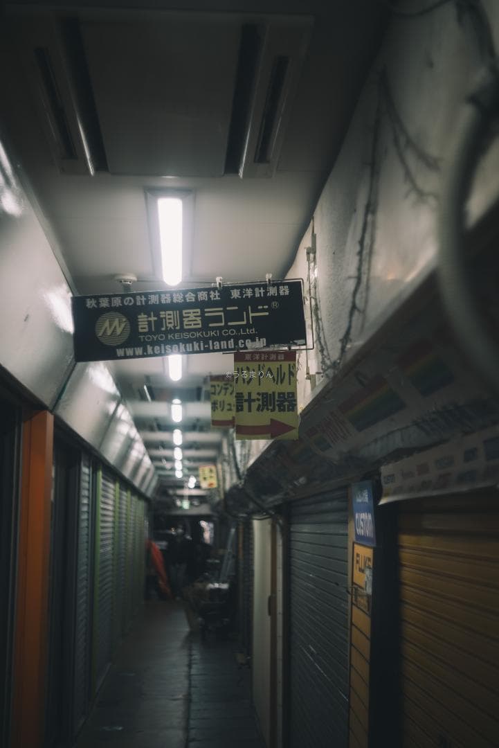 程よい滲み玉！癖玉！Leica Summar 50mm f2 オールドレンズ