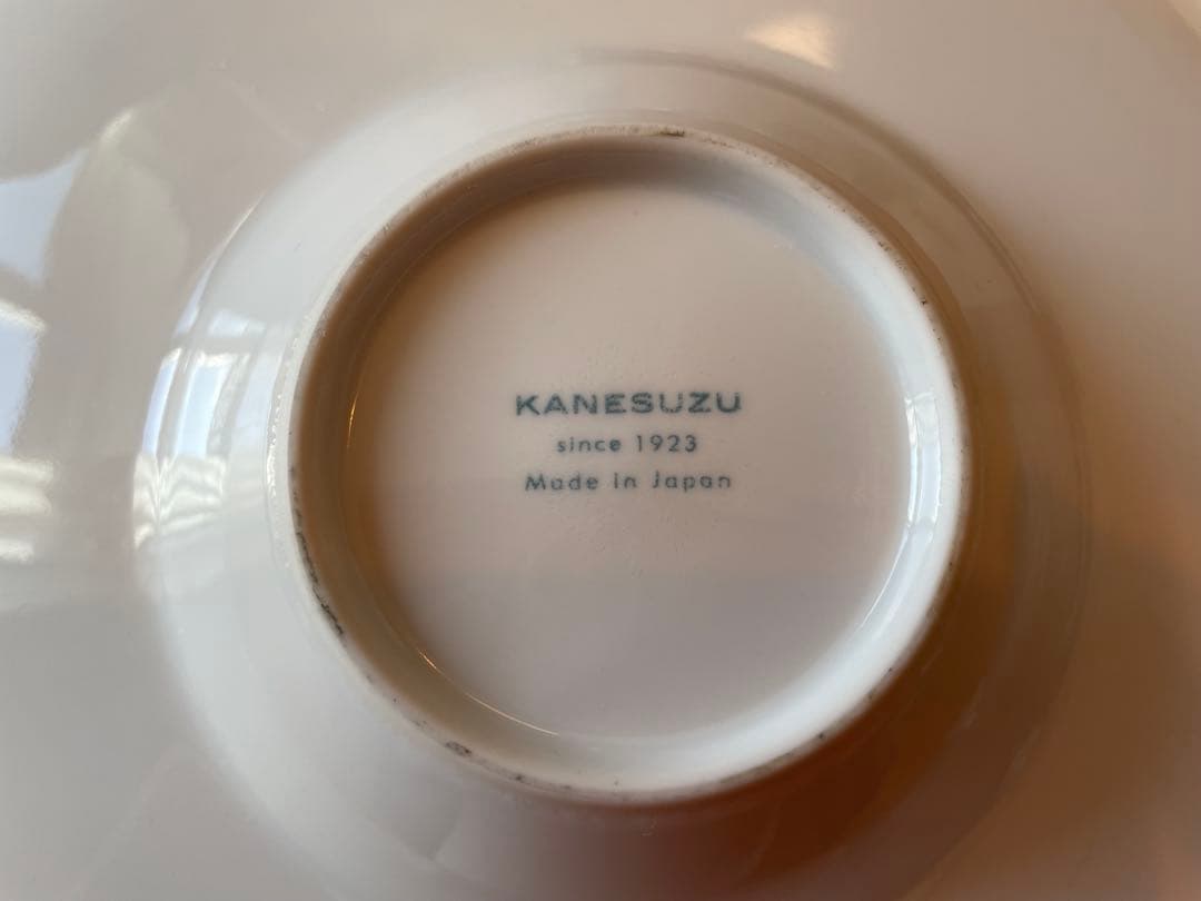 KANESUZU製ワイドリム皿29cm5枚セット
