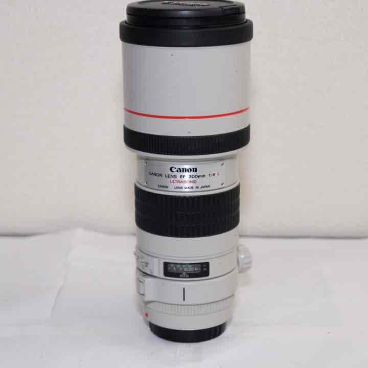 憧れのCanon 単焦点望遠レンズ EF300mm F4L