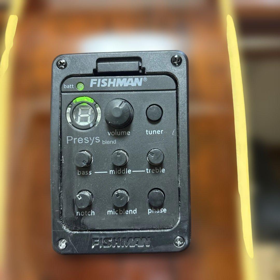 Ibanez エレアコ ソフトケース付 新品弦張替済