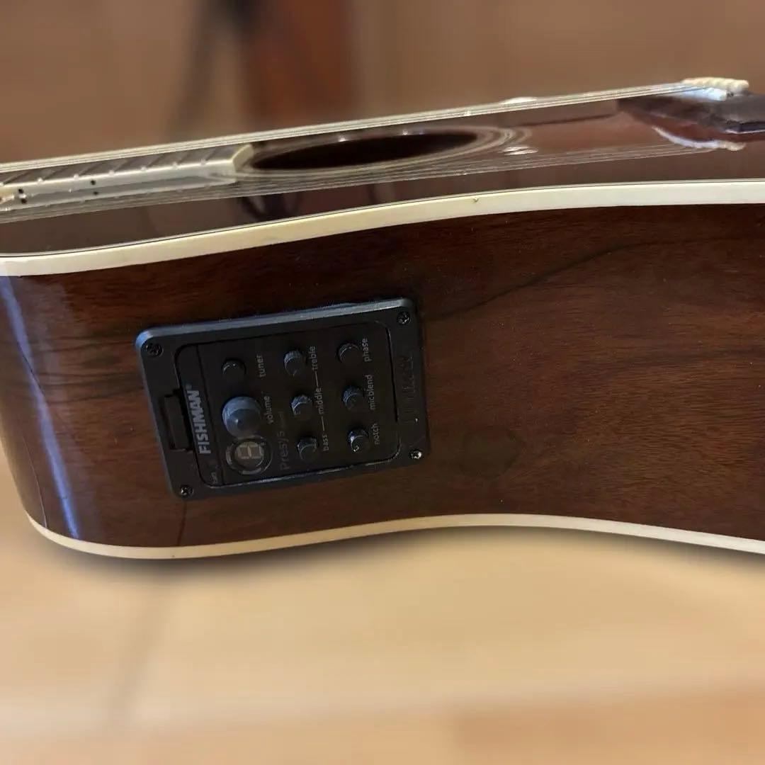 Ibanez エレアコ ソフトケース付 新品弦張替済