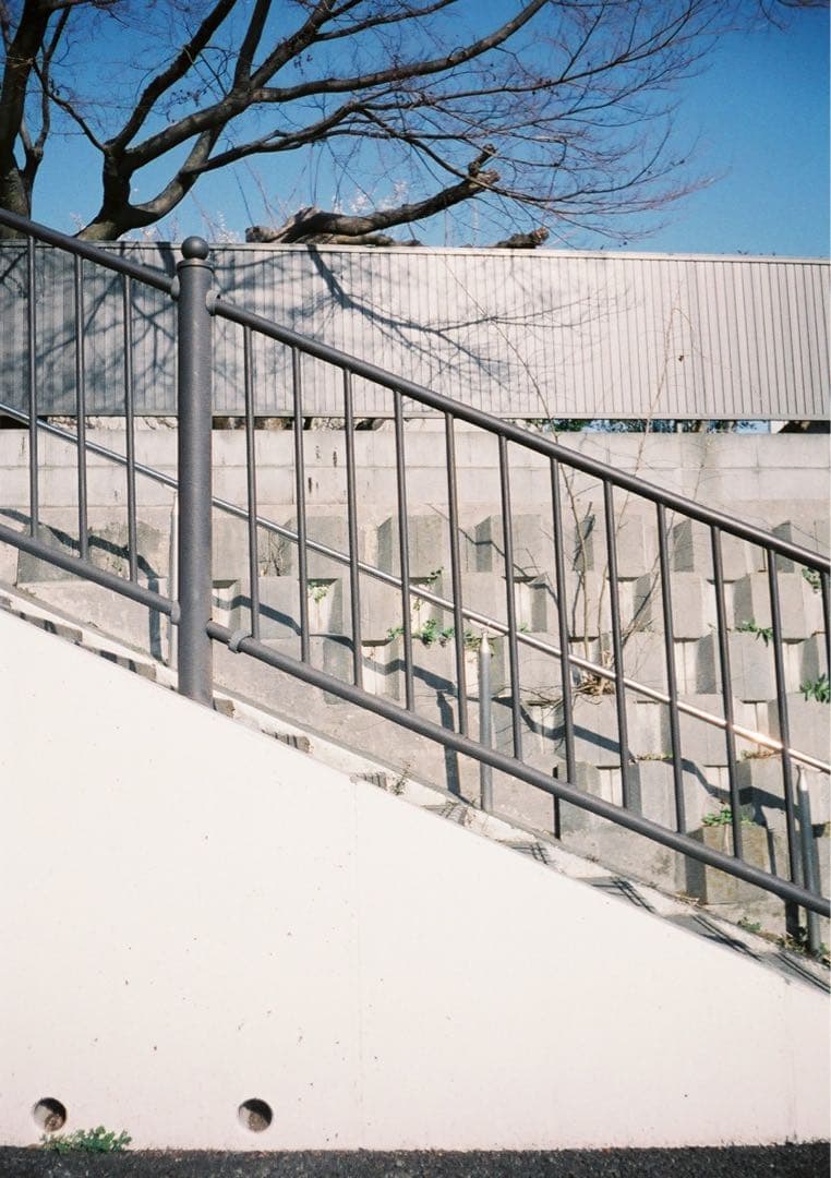 【動作確認・清掃済み＊試写あり】花柄 リコーオートハーフE