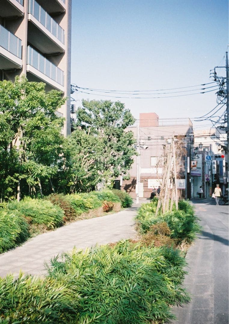 【動作確認・清掃済み＊試写あり】花柄 リコーオートハーフE