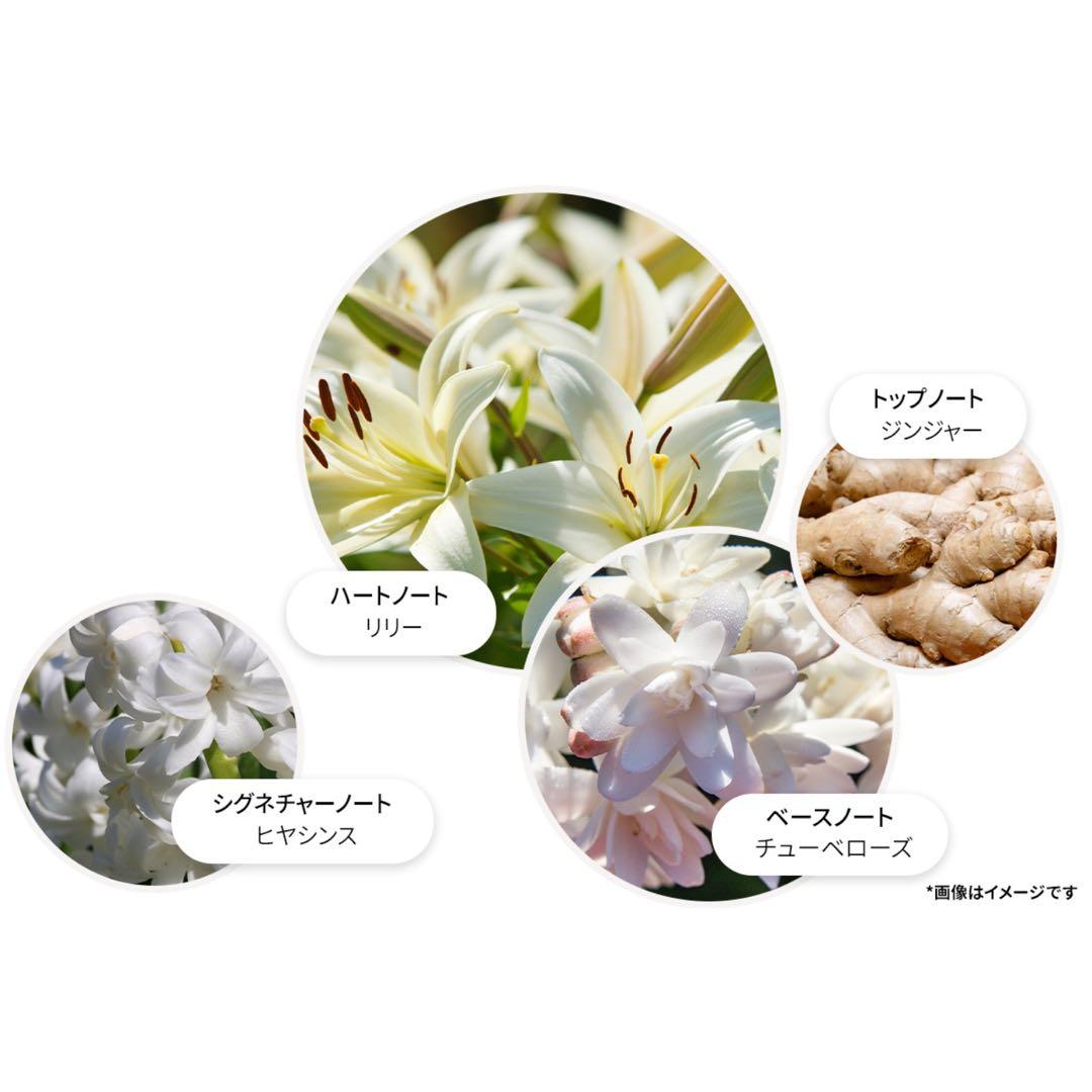 MOLTON BROWN 100ml 香水