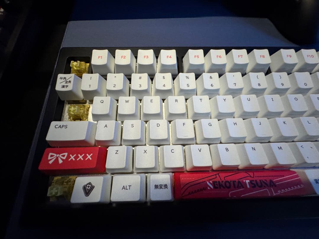 ぶいすぽっ！ VSPO! GEAR 猫汰つな キーボード 訳あり