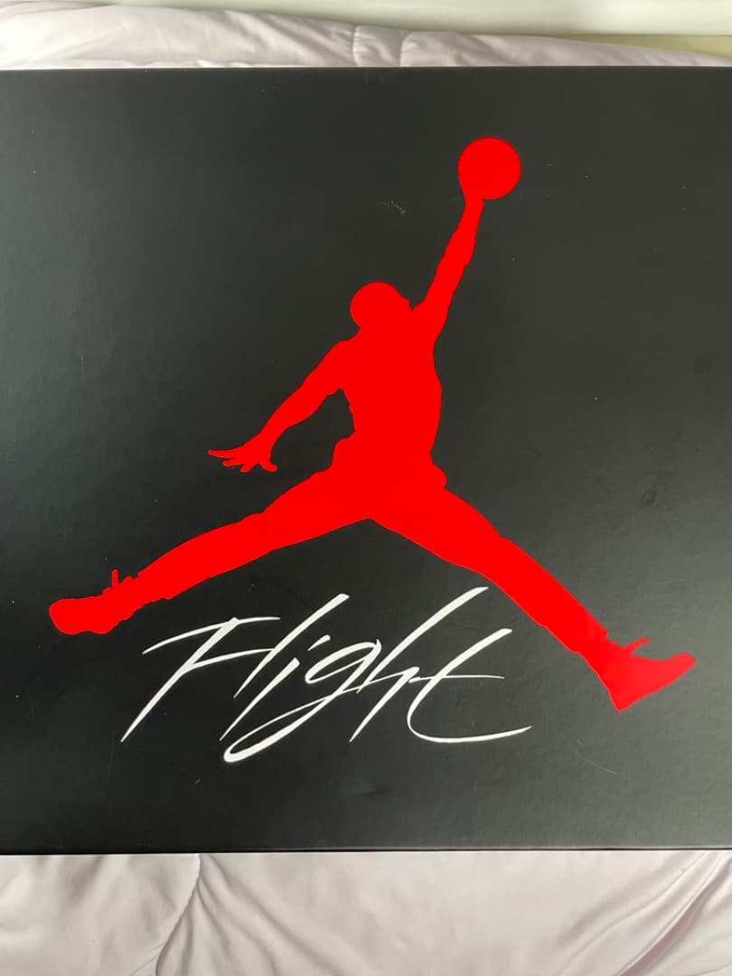 エアジョーダン4 ミリタリーブルー (2024)