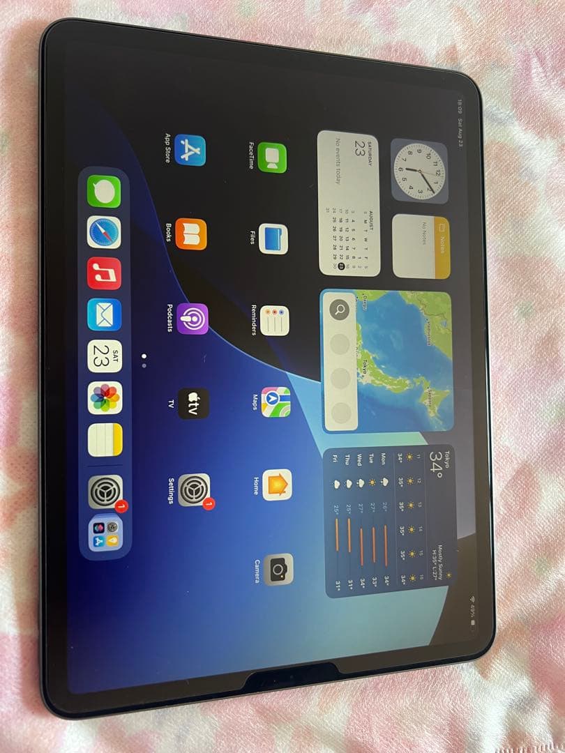 Apple iPad Pro第二世代128GB バッテリー残量100%