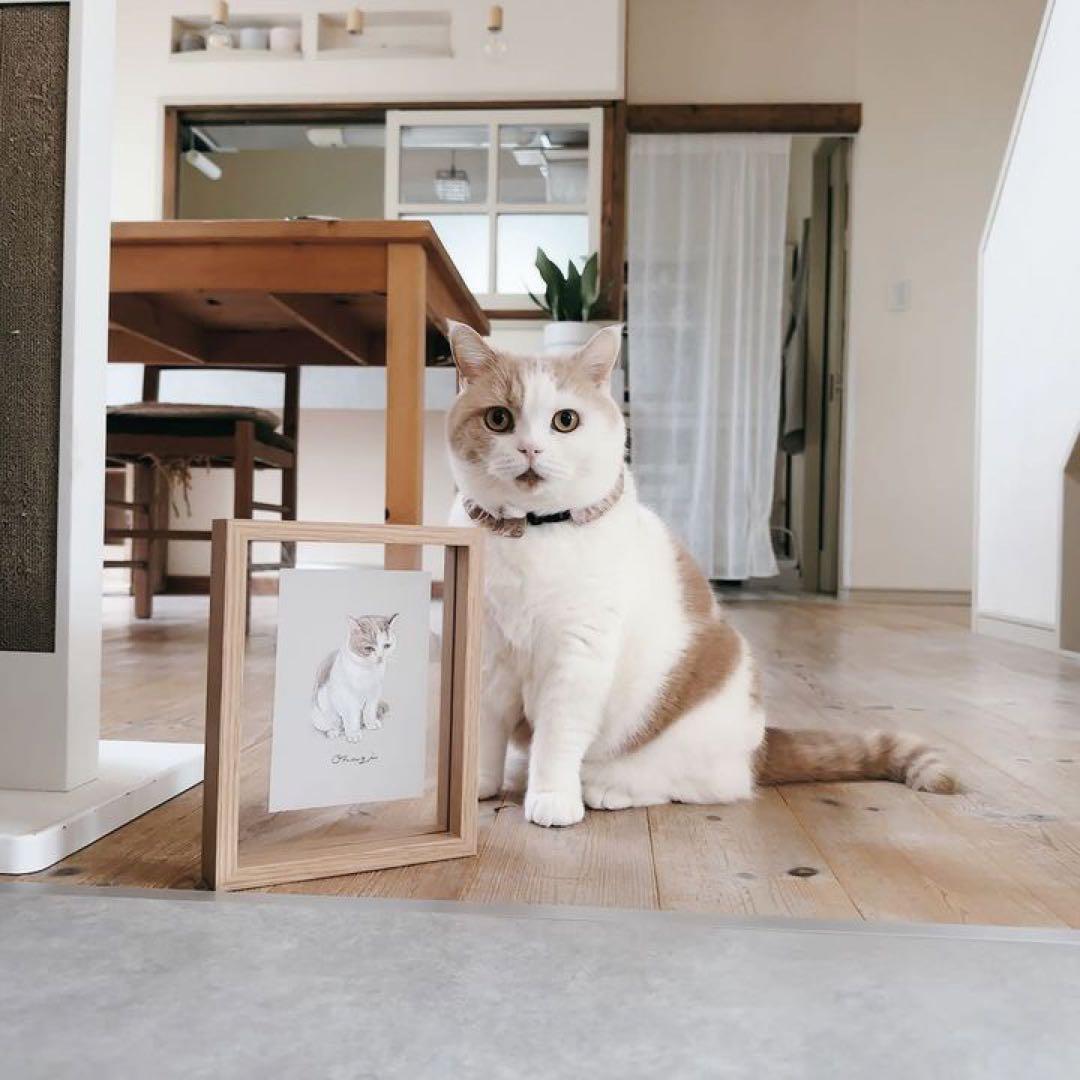 ペット　似顔絵　うちの子　グッズ　フォトフレーム　ウェルカムボード