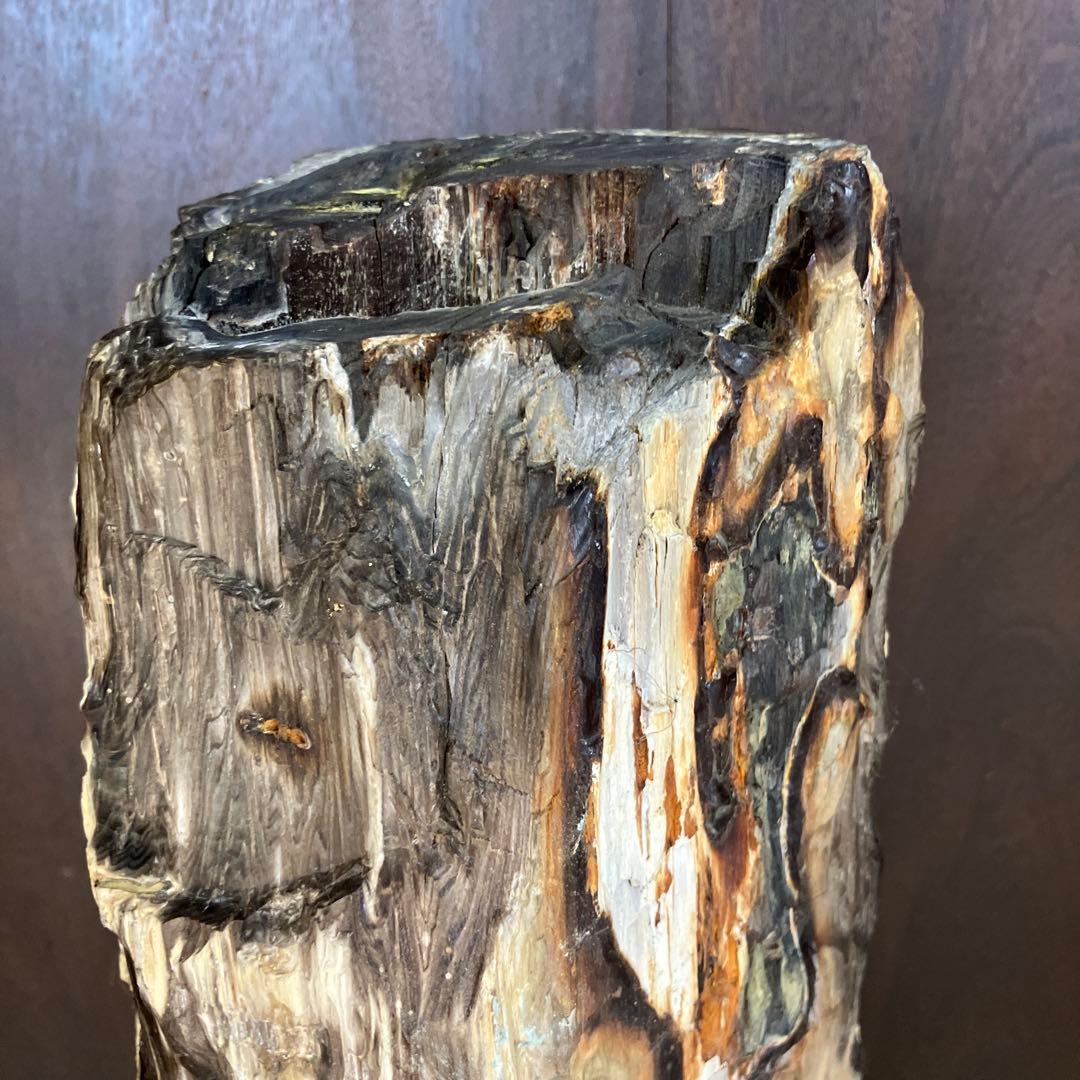 E-4 昭和レトロ 珪化木 化石 木の化石 鑑賞石 置物 飾り インテリア