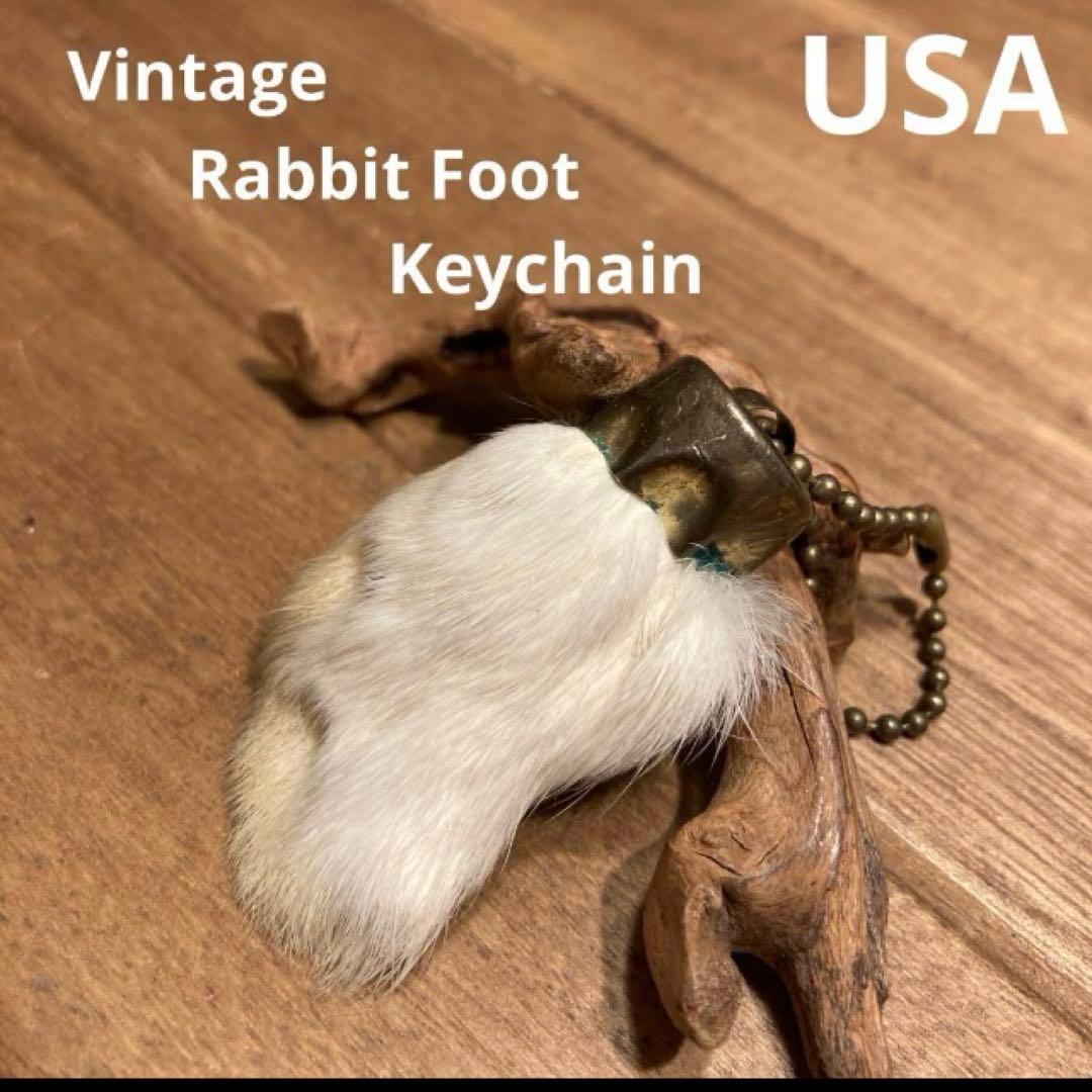 フクロウ様　まとめ