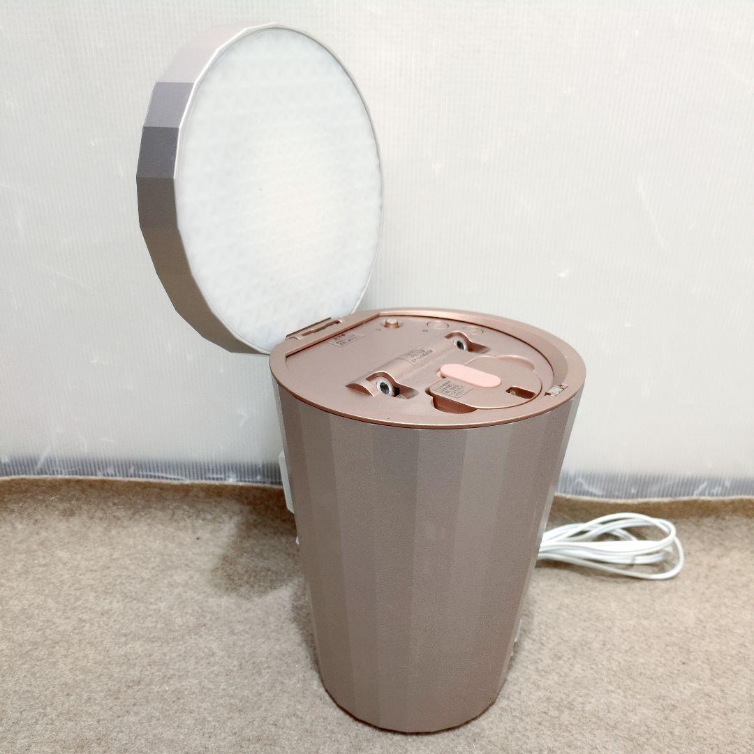 ヤーマン YA-MAN LEDスチーム美顔器 フォトスチーマー IS-100P