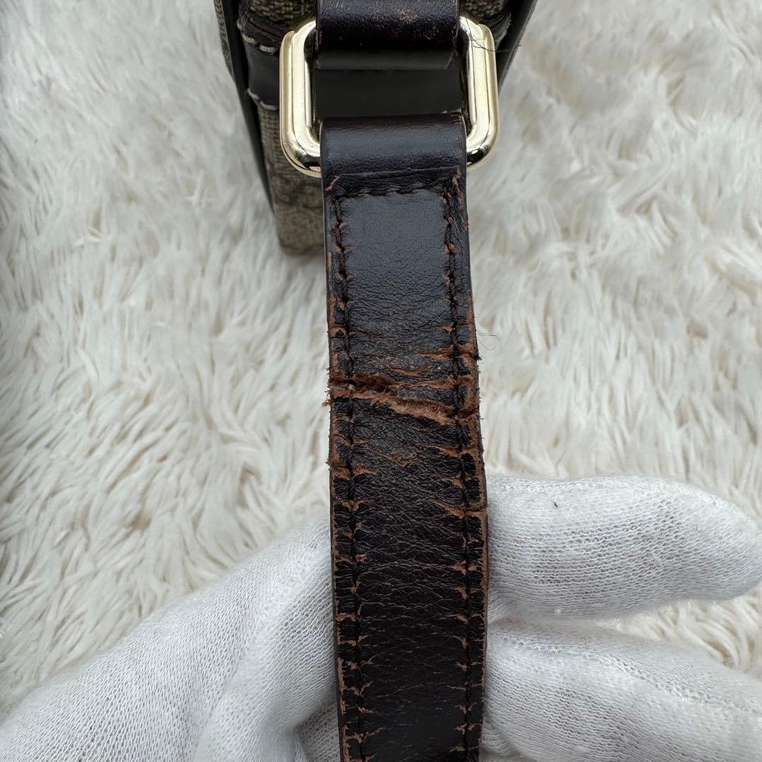 ✨人気✨グッチ　ショルダーバッグ　GG柄　スプリーム　PVC ベージュ