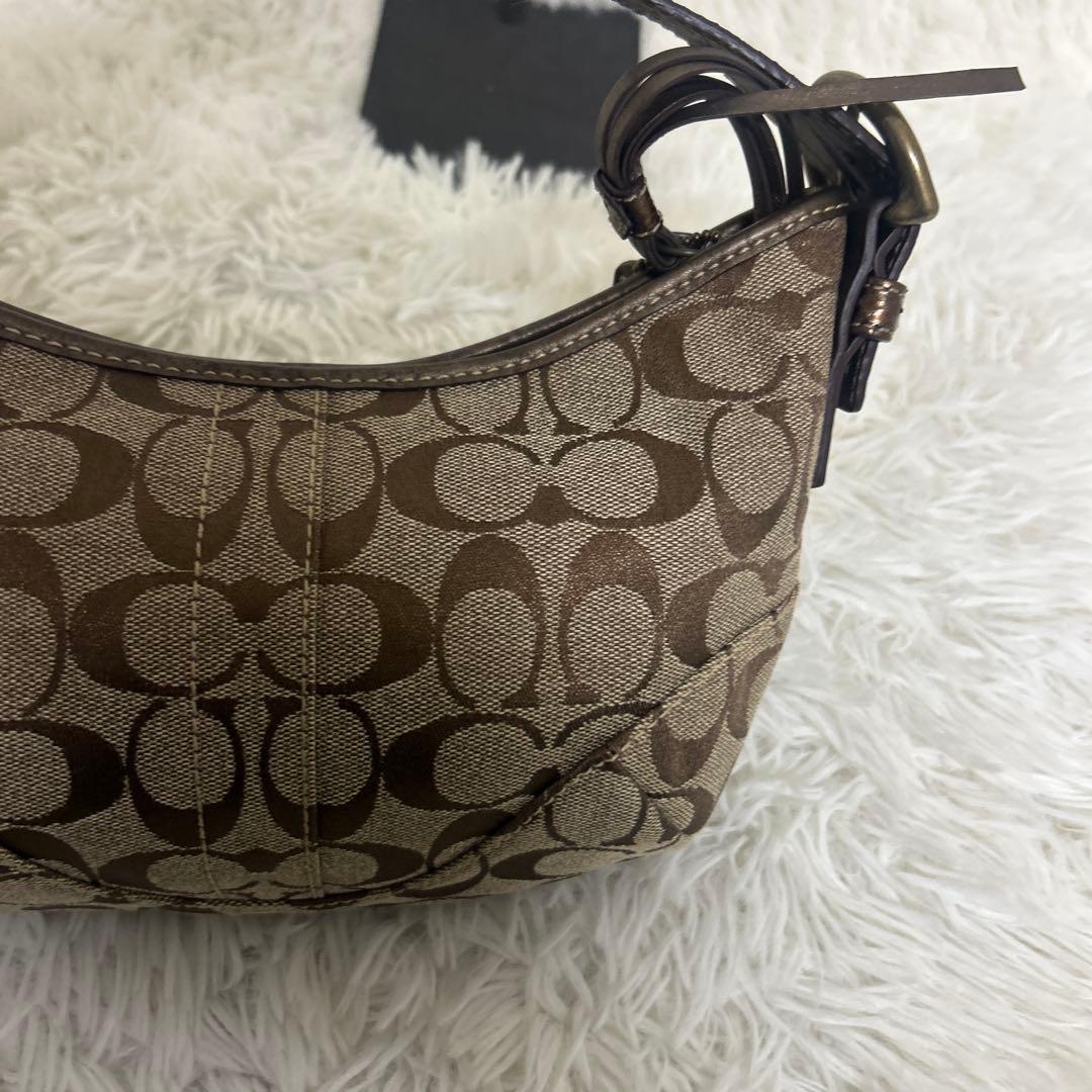 【極美品】COACH ワンショルダー シグネチャー パイソンショルダー