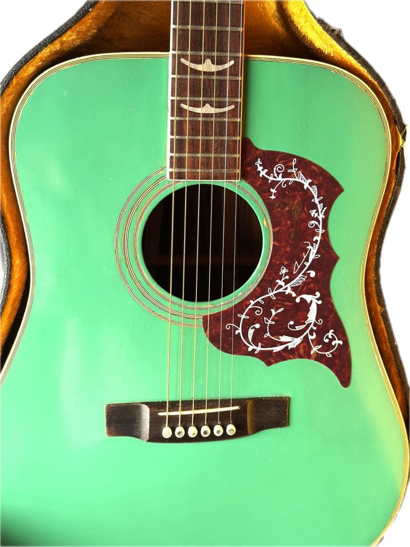 MOLALES アコギ　ライムグリーン 【思い切って8,500円で譲ります】