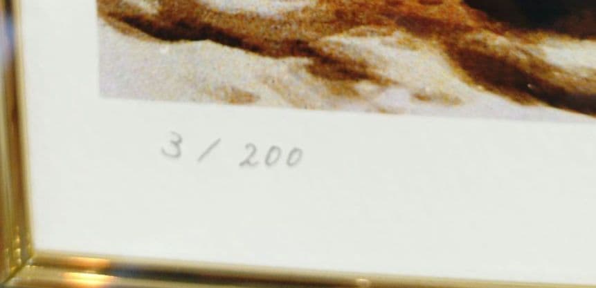 森の中のファミリー　手塚治虫　ピエゾグラフ