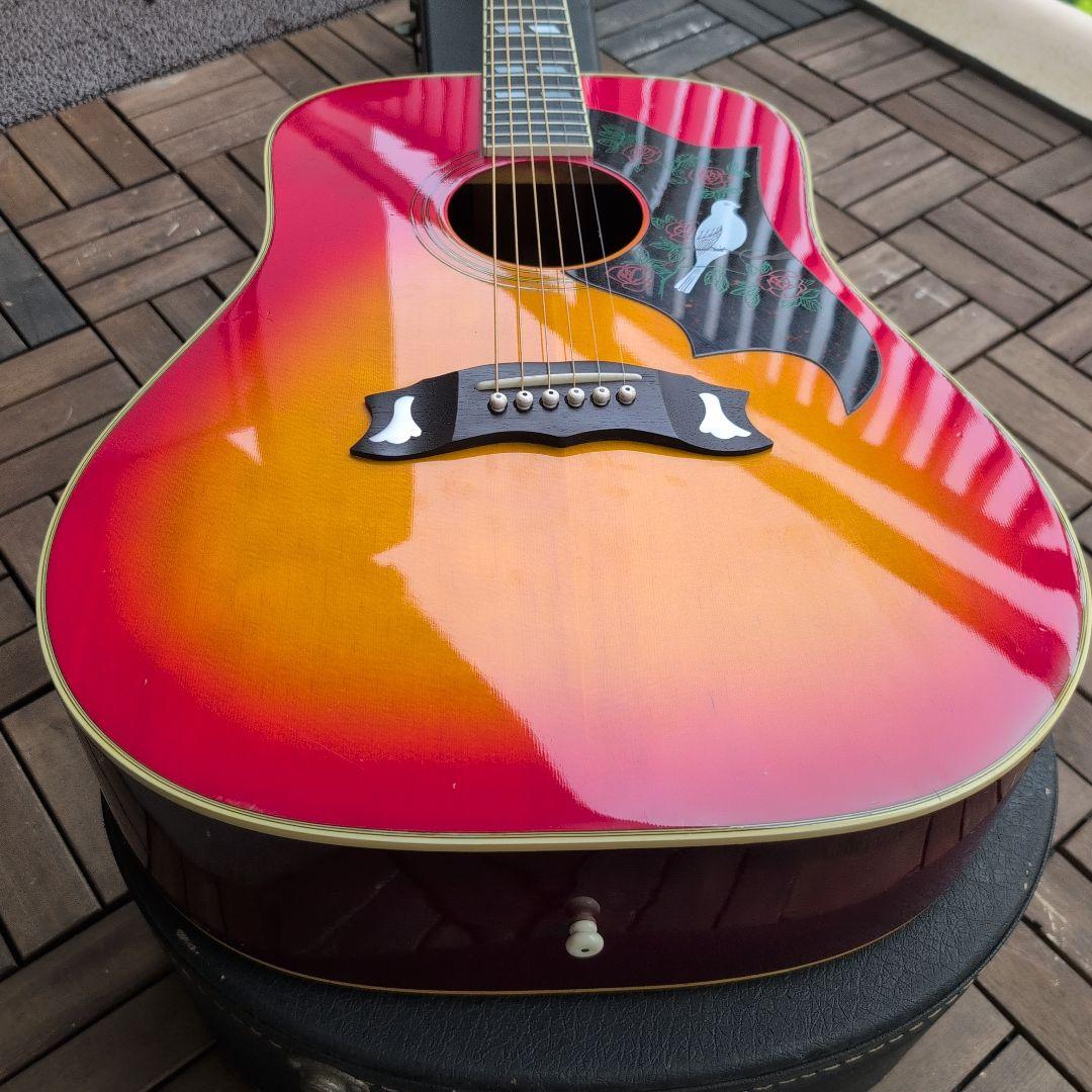 MORRIS ハミングバードDOVE WD−25 チェリーサンバースト！