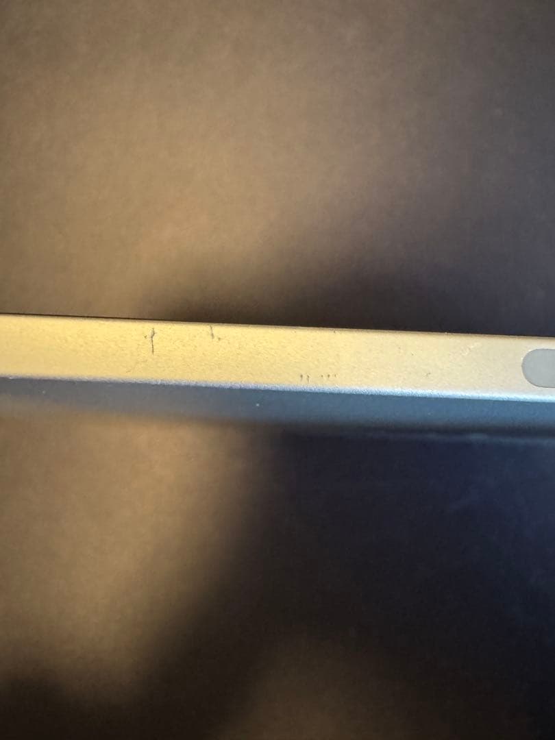 iPad Pro 11インチ 第1世代 Wi-Fi+Cellular 256GB