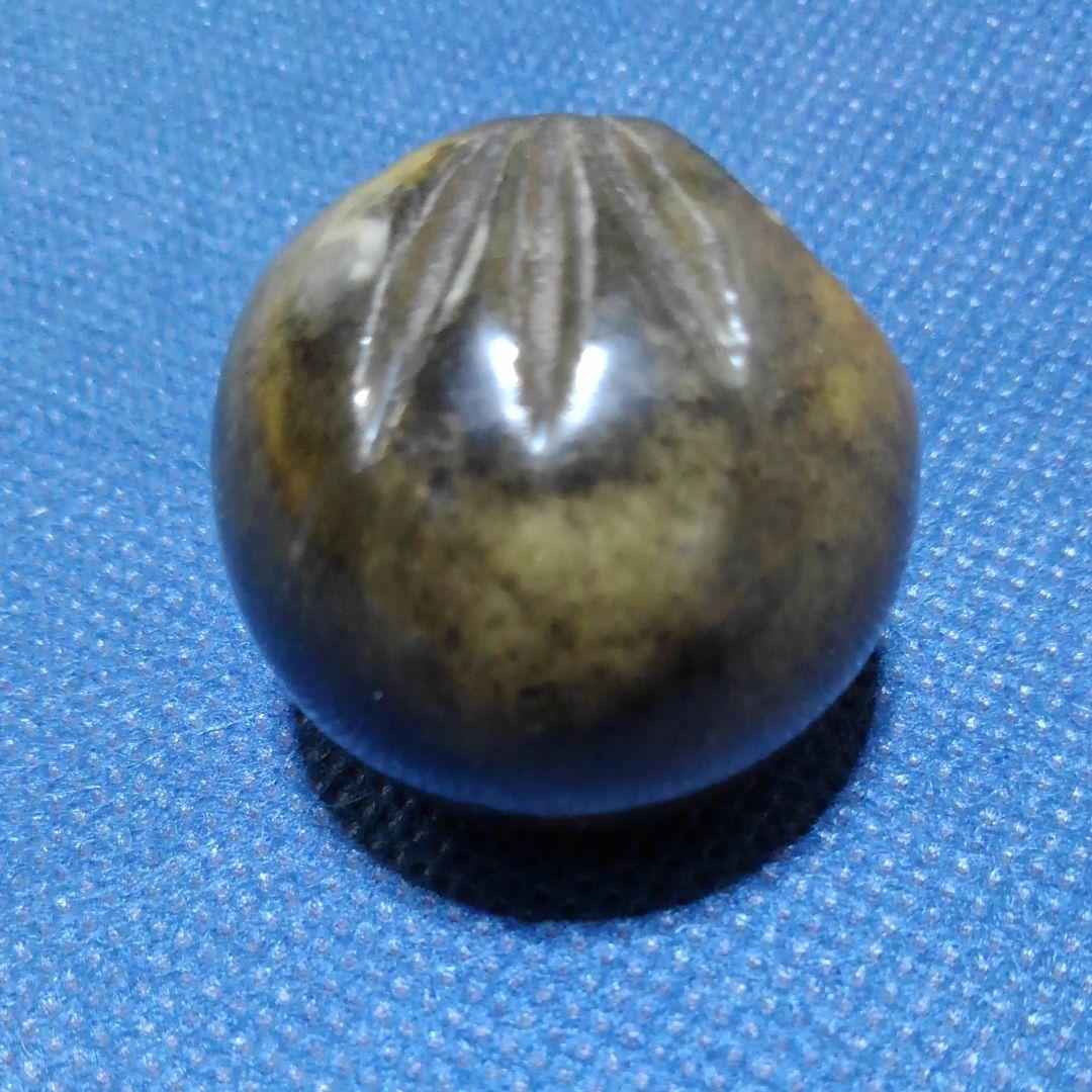 ♥️♥️珍しい！小さなフクロウ③