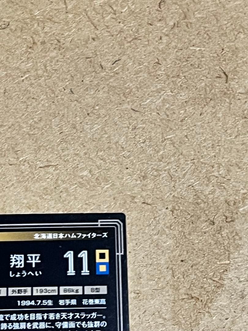 大谷翔平 Shohei Ohtani ファイターズ オーナーズリーグ