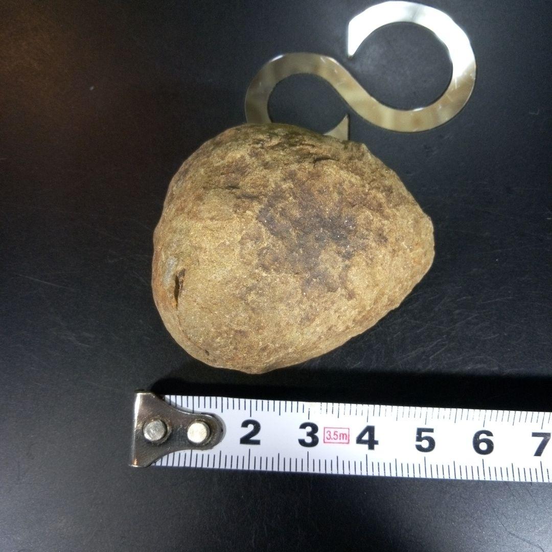 三葉虫　化石　fossil　海　ボリビア産　trilobite　ボリビア化石郡⑥