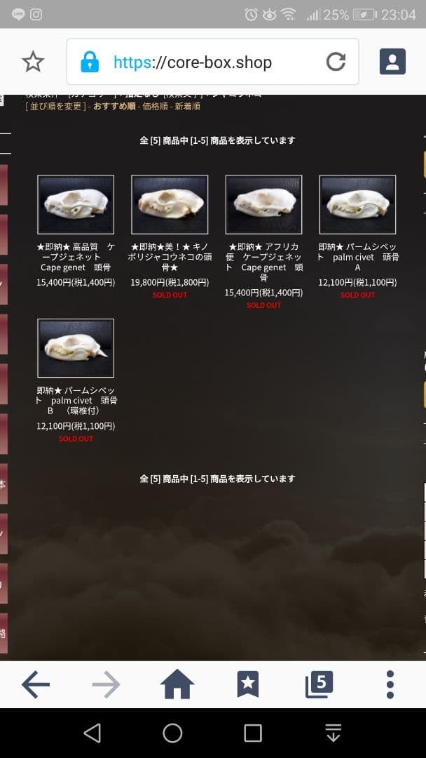 インドネシア産 ジャコウネコ