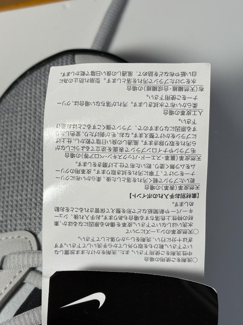 ☆NIKE☆ PG3 Paul e 3 バスケットボールシューズ