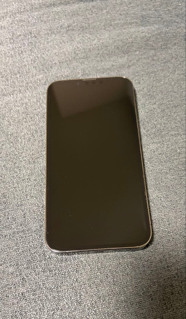 iPhone 13 Pro グラファイト 128GB 充電ケーブル付き