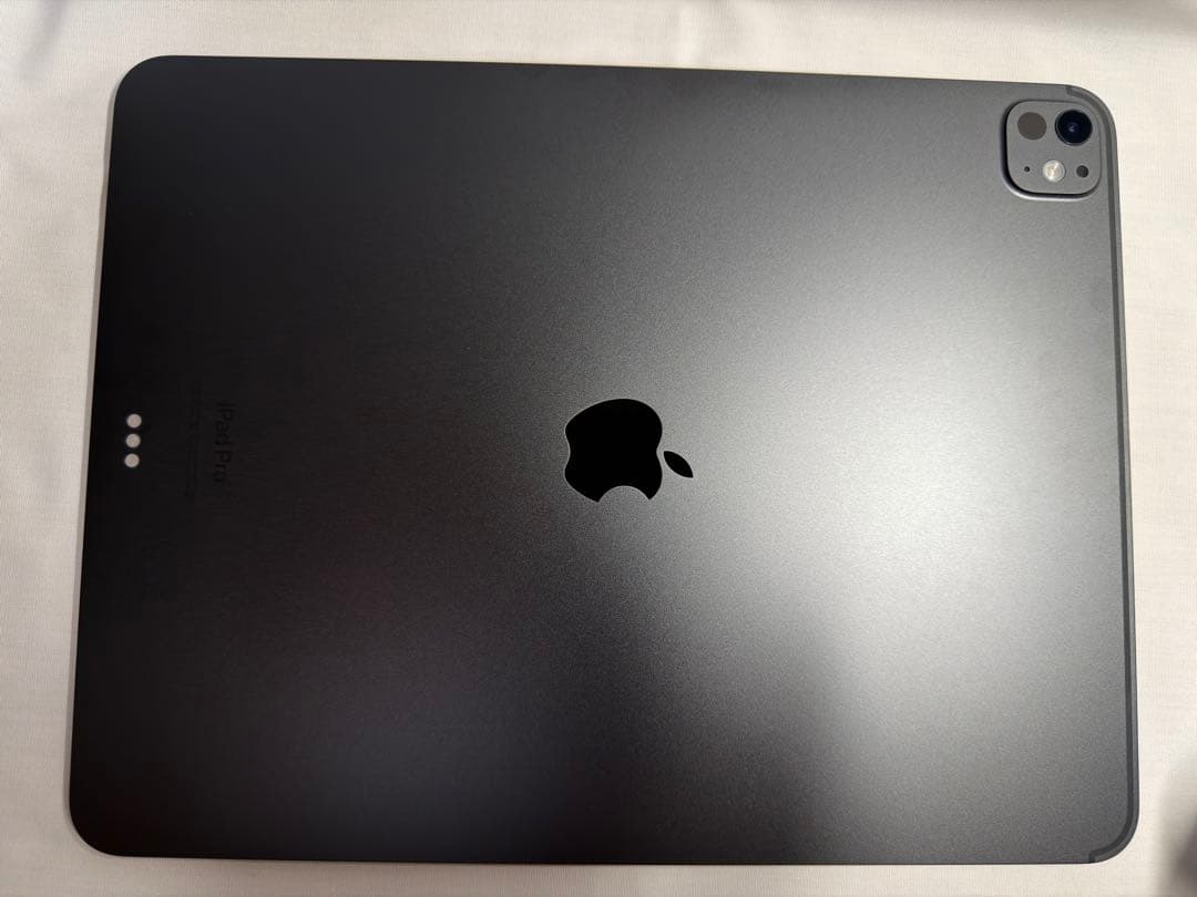 Apple iPad Pro M4 13インチ 256GB