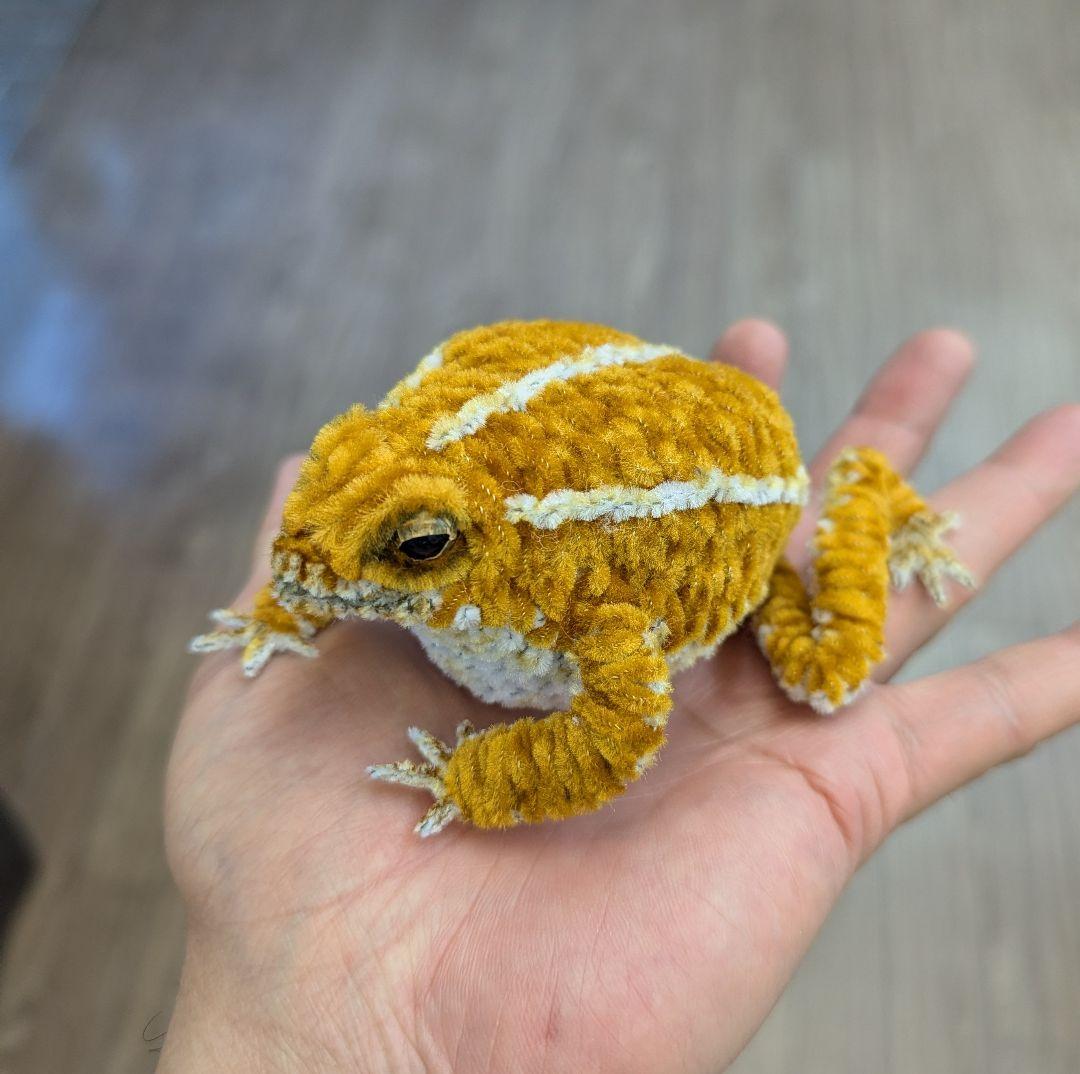 CoCo...オーダー作品モールのレオパ２、アメフクラガエル、ミヤコヒキ