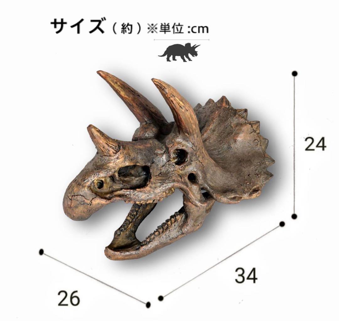 トリケラトプス インテリア オブジェ 雑貨 恐竜の化石 ジュラシックワールド