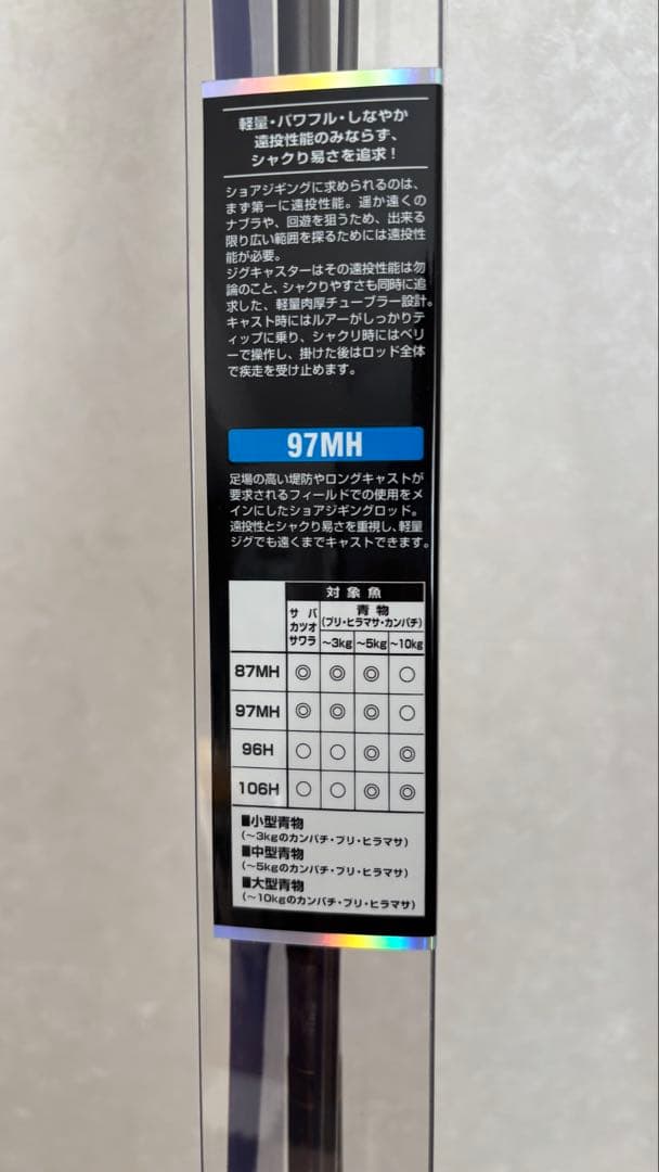 Daiwa / JIGCASTER 97MH ショアジギングロッド