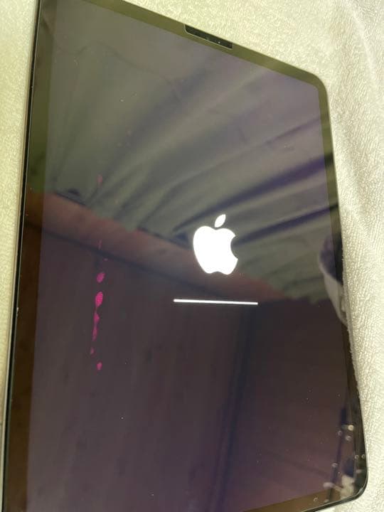 Apple iPad Pro 11インチ 256GB セルラーモデル