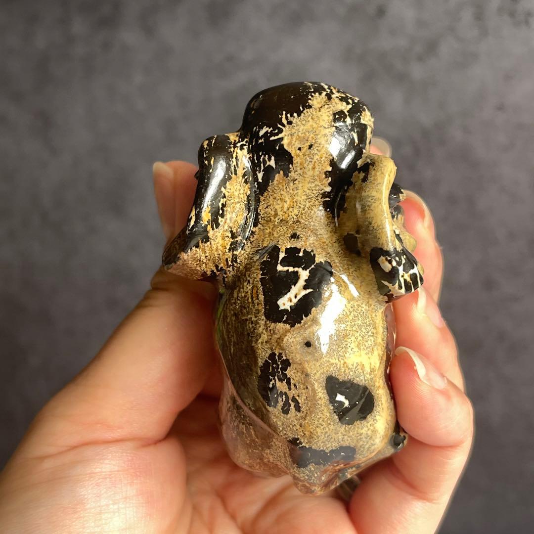 ピクチャー ジャスパー 象