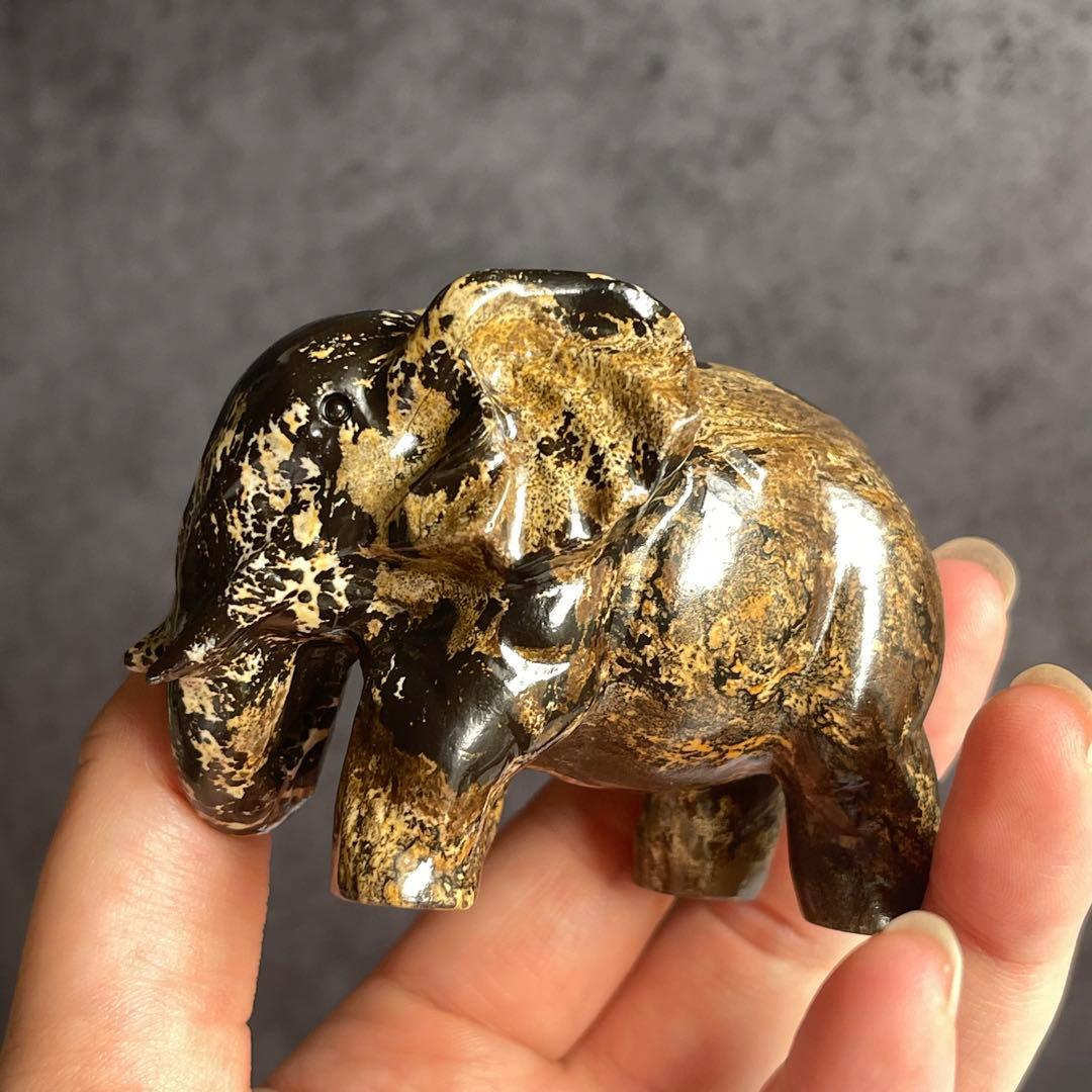 ピクチャー ジャスパー 象