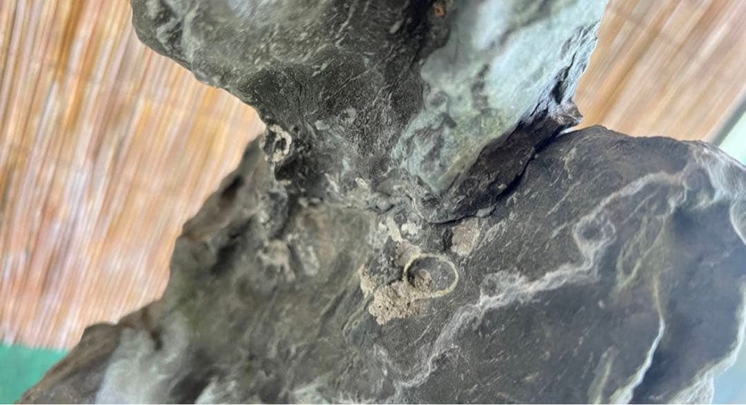 揖斐立ち石　龍岩石？