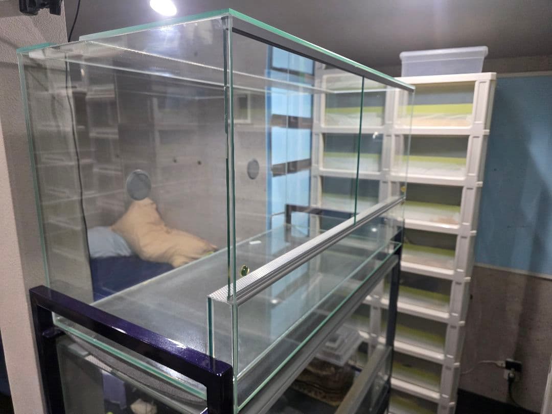 エーハイム ガラス ケージ １個 引取り