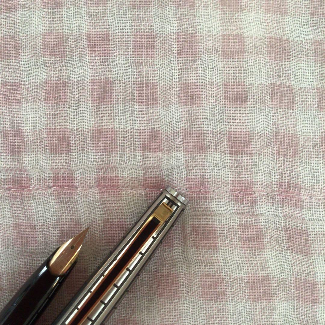 プラチナ 14K 14金 万年筆 ショート 細字 蝕刻 食刻 黒 廃盤