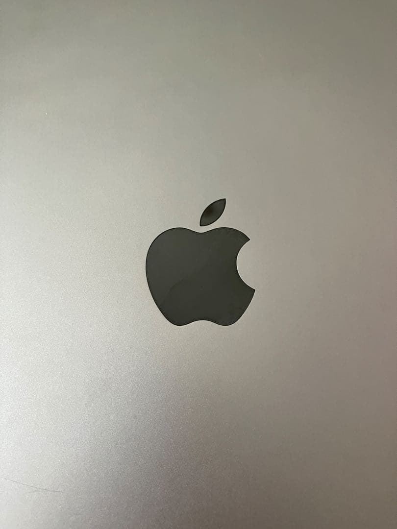 Apple iPad Air 2 セルラーモデル 16GB スペースグレー