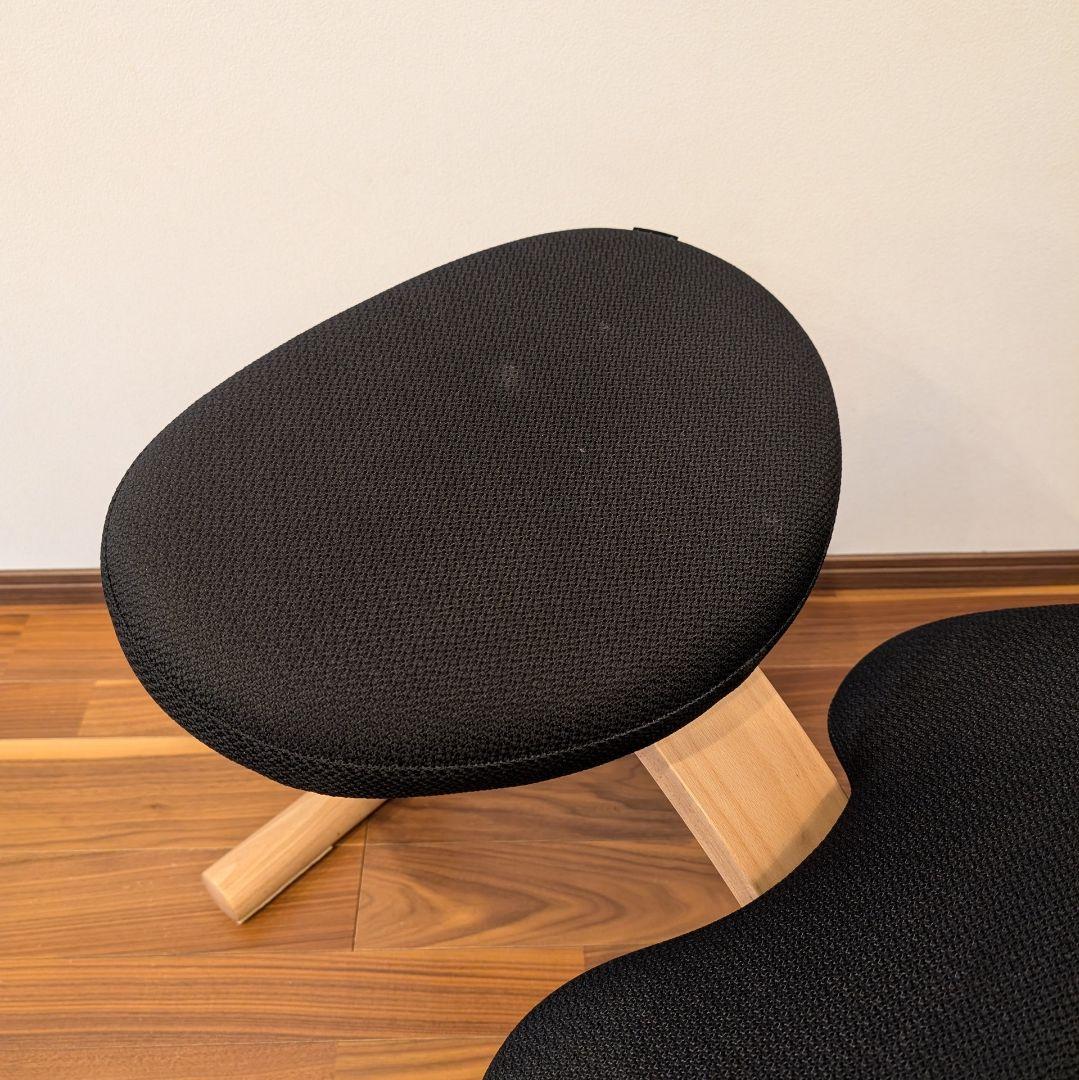 バランスラボ バランスチェア バランスイージー ブラック 通常フレーム 中古美品