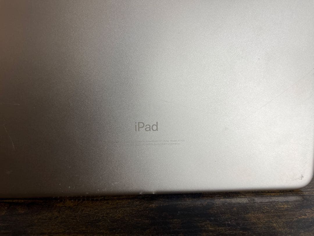 iPad Pro10.5インチ 256GB バッテリー劣化あり ※ジャンク扱い