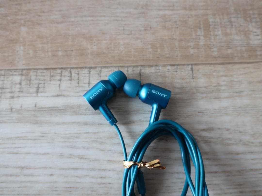 ★希少 SONY ハイレゾノイキャンイヤホン MDR-NW750N