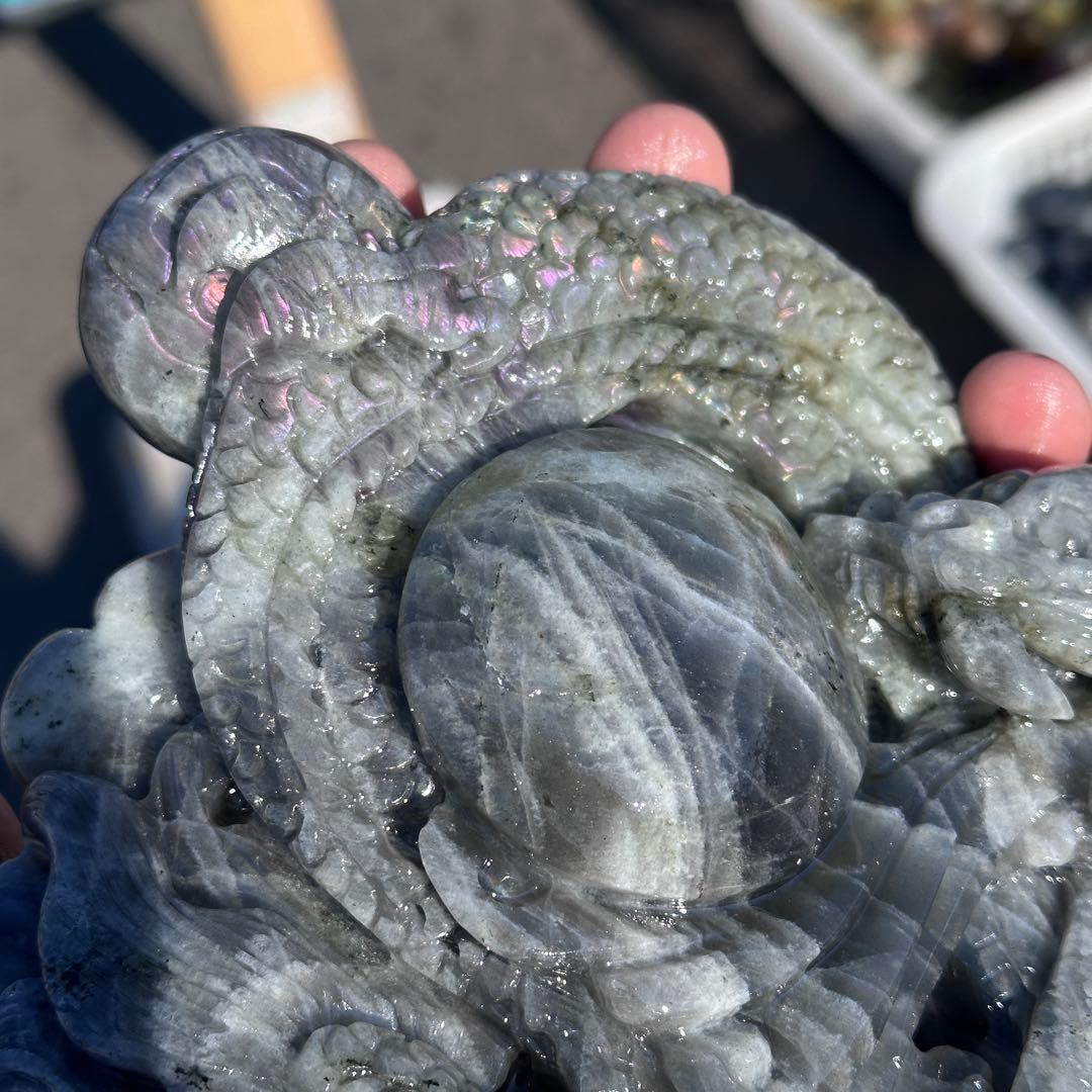 新潟狂う様確認専用